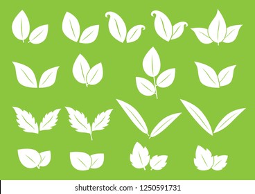Set leaf vector illustration on green background.