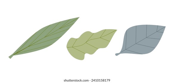 Set Blatt-Vektorgrafik in Pastellfarben einzeln auf weißem Hintergrund. Ästhetische Vibes.