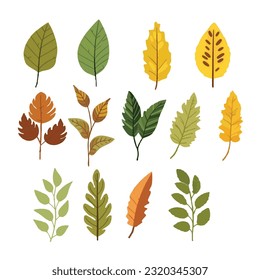 set of leaf vector illustration, posters, banners, cards, logo