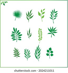 set of leaf vector illustrations, tropical leaves with flat design concept