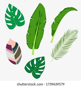 Set leaf vector isolated on white background
