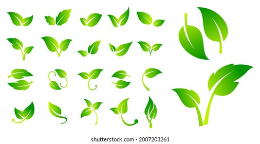 set of leaf vegan signs or green vegan label or green natural badges product or bio ecology vegan concept. eps vector 