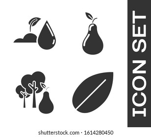 Set Leaf, Watering sprout, Tree with pears and Pear icon. Vector