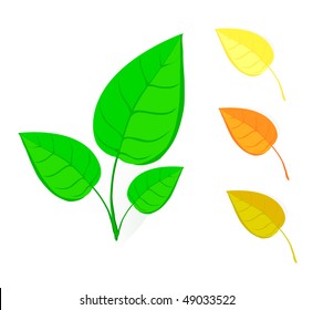set of leafs  and eco sign