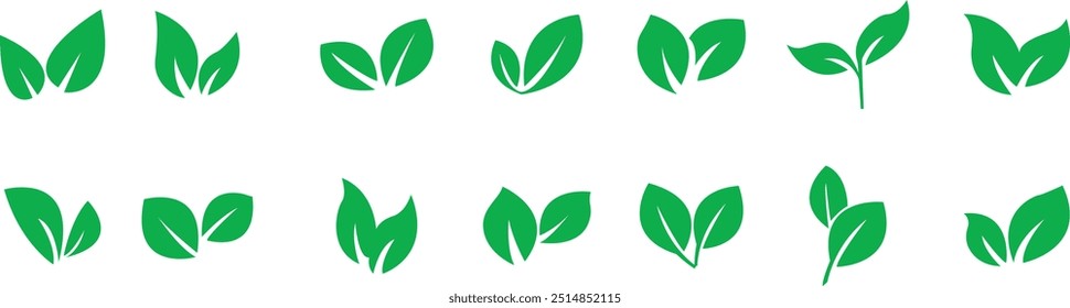 Set of leaf's, Set of leaf  icon, icon's, logos, bio, eco, Vector illustration, EPS 10, 