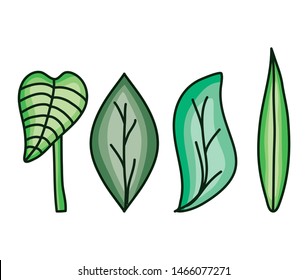 set of leafs nature icons