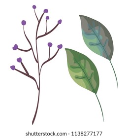 set leafs plant icons