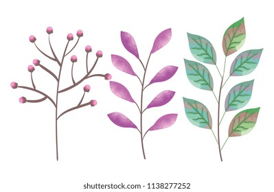 set leafs plant icons
