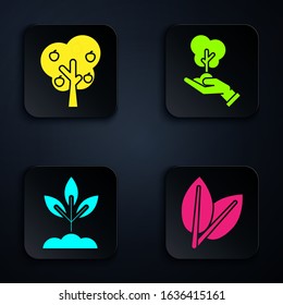 Set Leafs, Tree with apple, Plant and Tree in hand of environmental protection. Black square button. Vector