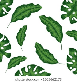 set of leafs tropical isolated icon vector illustration design