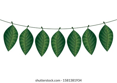 set of leafs tropicals hanging vector illustration design