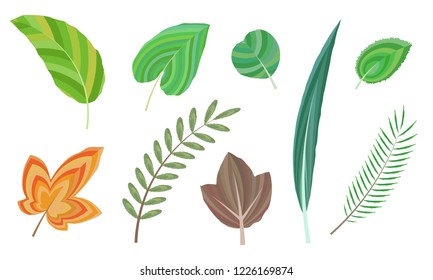 Set of Leafs with Various Shapes and Colors Isolated on White background - Vector Illustration