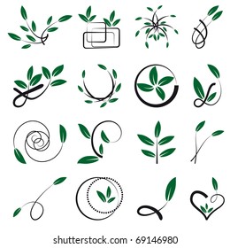 Set of leafy elements for design. Vector illustration