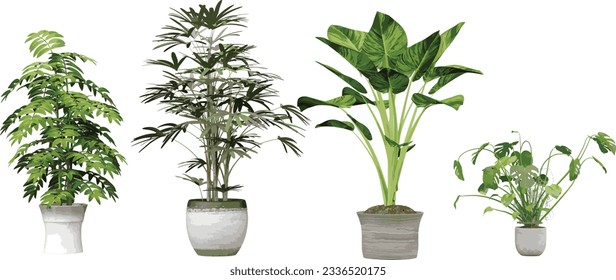 Set of Leafy Green Monstera Collection; Trendy and Tropical transparency backgrounds illustration png