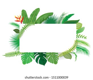 set of leave vector design
