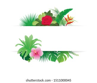 set of leave vector design