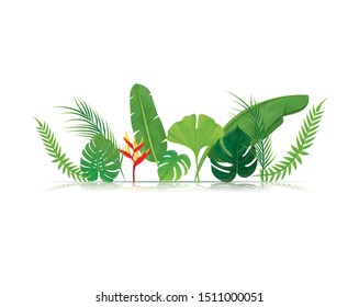 set of leave vector design