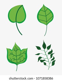 Set of leaves