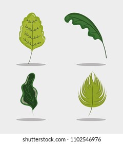 Set of leaves