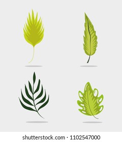 Set of leaves