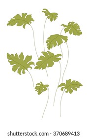 Set of leaves