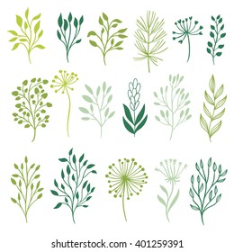 set of leaves
