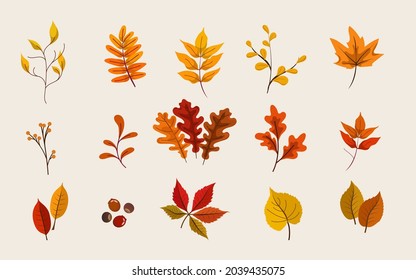 un conjunto de hojas en otoño