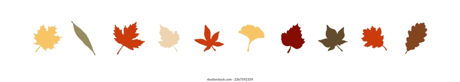 Set of leaves in autumn color palette. Vector illustration.