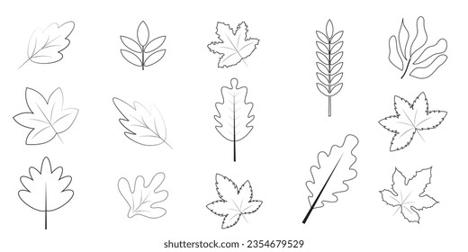 conjunto de hojas elementos de línea otoño ilustración vectorial, colección hojas de otoño.