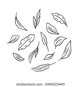 Set of leaves black line art isolated on white background