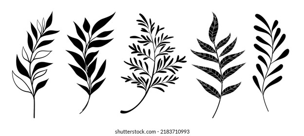 Set Leaves Black Silhouette Leaves On Stock Vector (Royalty Free ...