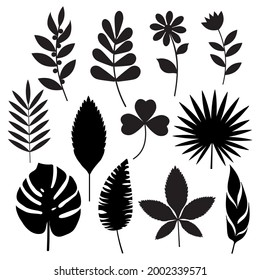 Conjunto de hojas esténcil negro, ilustración aislada vectorial