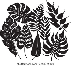 Conjunto de hojas, negro y blanco. Silhouette de hojas, elementos vectoriales en blanco y negro.
