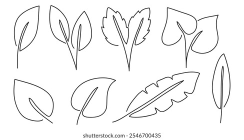 Satz von Blättern botanisch handgezeichnet.Vektorgrafik 