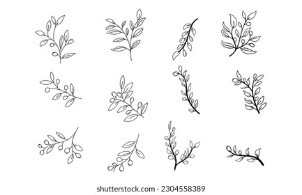 Set of Leaves and Branch. Outline Olive Branch In a Trendy Minimalist Style. Vector Illustration for printing on t-shirt, Web Design, beauty Salons, Posters, creating a logo and Patterns