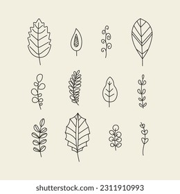 Set of Leaves and Branch. Outline Palm leaf and Olive Branch In a Trendy Minimalist Style