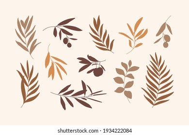 Set Of Leaves And Branch. Silhouette Palm Leaf And Olive Branch In A Simple Style. Vector Illustration For Printing On T-shirt, Web Design, Beauty Salons, Posters, Creating A Logo And Patterns