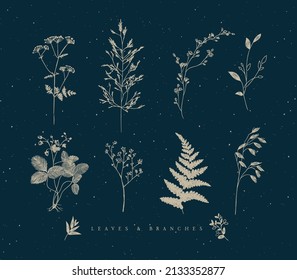 Set of leaves and branches floral style drawing in beige color on blue background