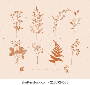 Set of leaves and branches floral style drawing in mustard color on beige background
