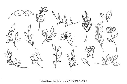 Set of Leaves, Branches and Flowers