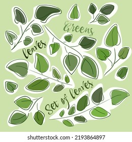 A set of leaves and branches on a green background. A light outline of foliage with patches of color and text. Motifs of leaves and branches on an eco theme. For printing packaging, textiles, banners.