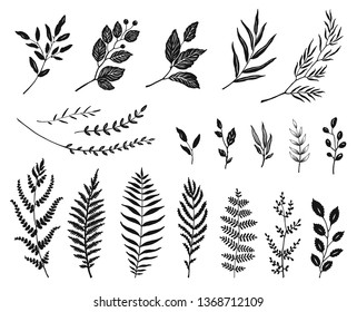 Set of leaves and branches silhouettes, hand drawn vector illustration.