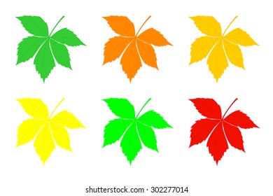A set of leaves of chestnut. Vector illustration.