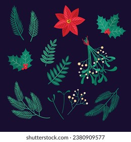 Set of leaves for Christmas and New Year on dark blue background. Spruce, holly, mistletoe. 