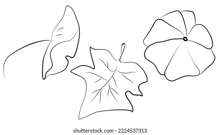 Set of leaves in contour fill for decoration