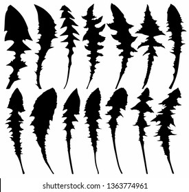 Set of leaves dandelion.