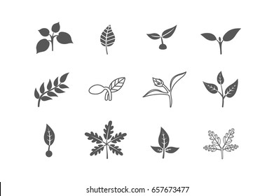 Set of leaves design elements. Sprout new life vector logo