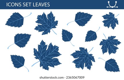 Set leaves, different colors on white background. Concept - Isolated elements for design. Maple leaves, birch leaves