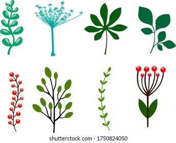 a set of leaves of different shapes. cartoon flat style