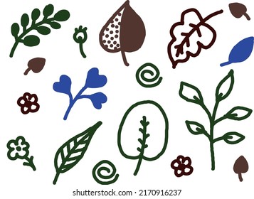 Un conjunto de hojas de diferentes formas y colores. Archivo vector para diseños.